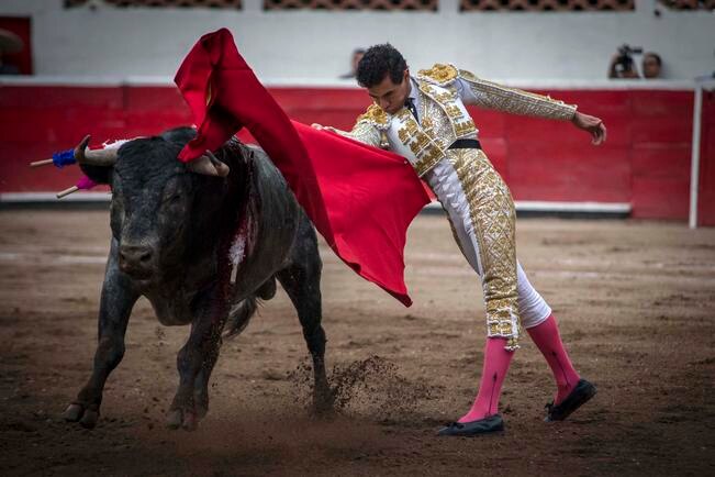 El Toreo, paciencia para alcanzar la confirmación  