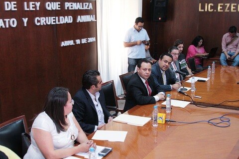 Diputados van contra maltrato animal