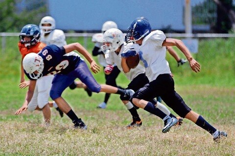 Zorros asume reto de ir a la ONEFA