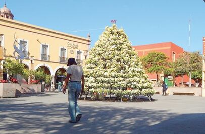 Produce la Navidad depresión y suicidio