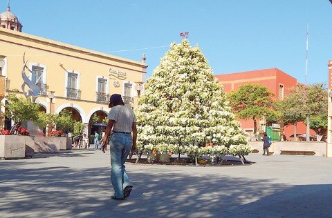 Produce la Navidad depresión y suicidio
