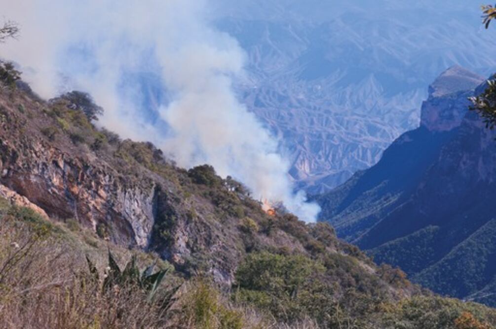 Provocados 80% de los incendios