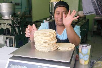 CNC prevé caída en precio de maíz