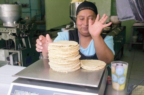 CNC prevé caída en precio de maíz