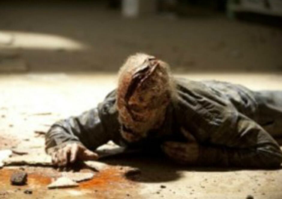 "The Walking Dead es un fenómeno"