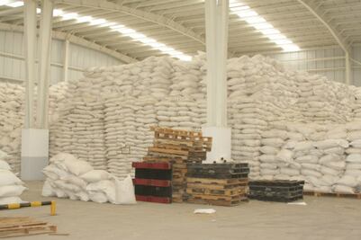 Destruye PGR precursores químicos