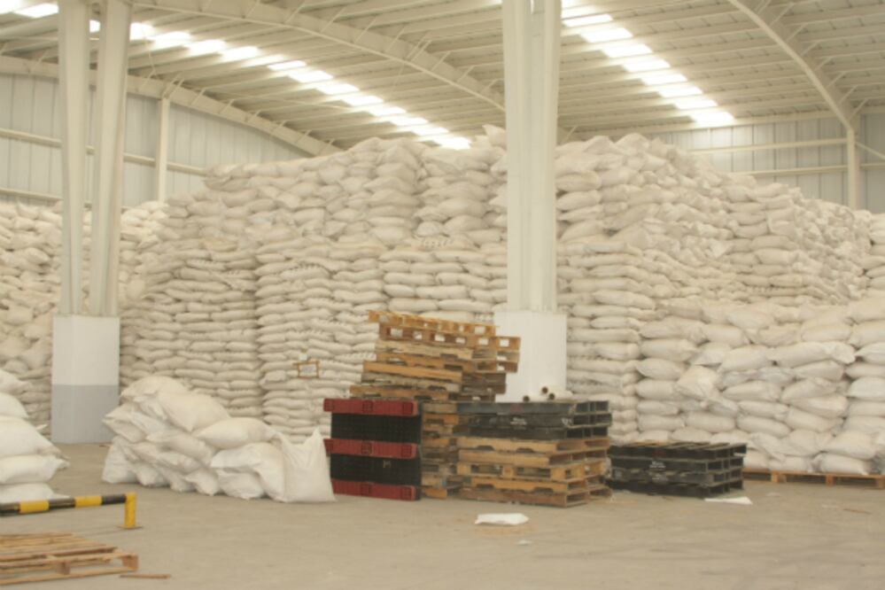 Destruye PGR precursores químicos