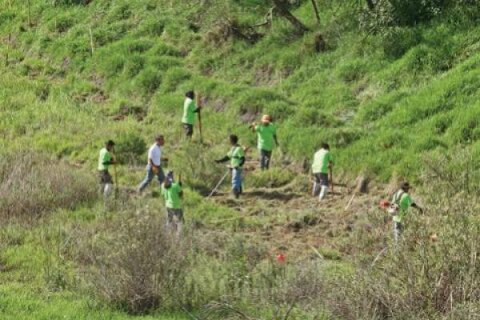 Realizará SEMARNAT foro del proyecto Tren rápido