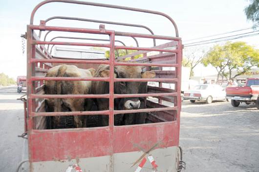 30 mdp para pequeños ganaderos