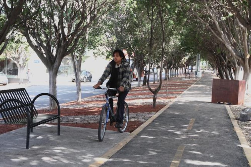 El parque tiene una extensión de 2 mil 394 metros cuadrados, además se construyó una trotapista, se colocaron 16 de depósitos de residuos, bancas metálicas, contenedores para residuos de mascotas, gimnasio, entre otras actividades. (FOTO: CÉSAR GÓMEZ)