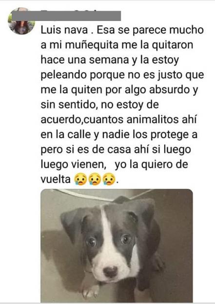 La maltrata, la ve con el alcalde y la quiere de regreso 