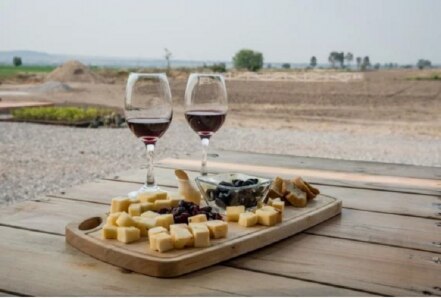 Conoce el Festival Viva El Queso: degustaciones y catas con vino en Querétaro