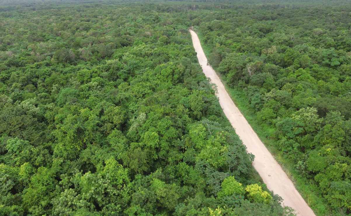 El Tren Maya no se detiene; AMLO expropia 109 hectáreas para el tramo 5