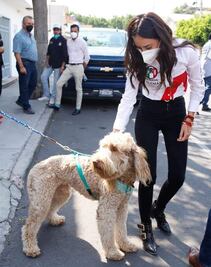 Capital de Querétaro tendría fiscalía especializada en maltrato animal