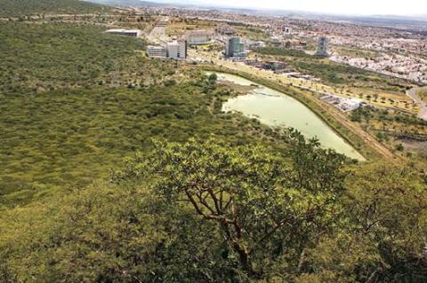 Realizarán inventario de zonas ecológicas