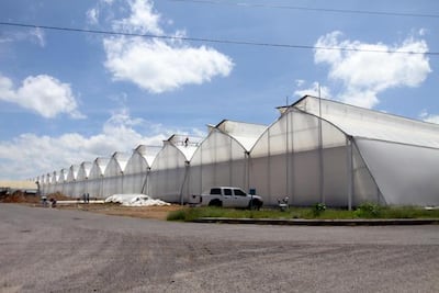 Crece interés de empresas para invertir en Querétaro