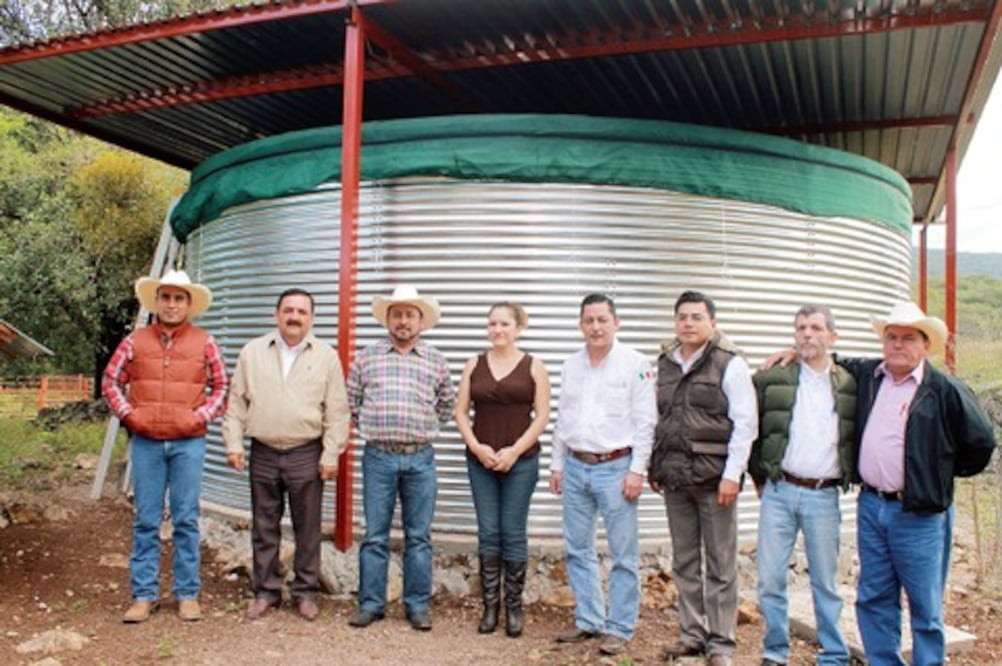 Cabina de forraje verde en Pinal