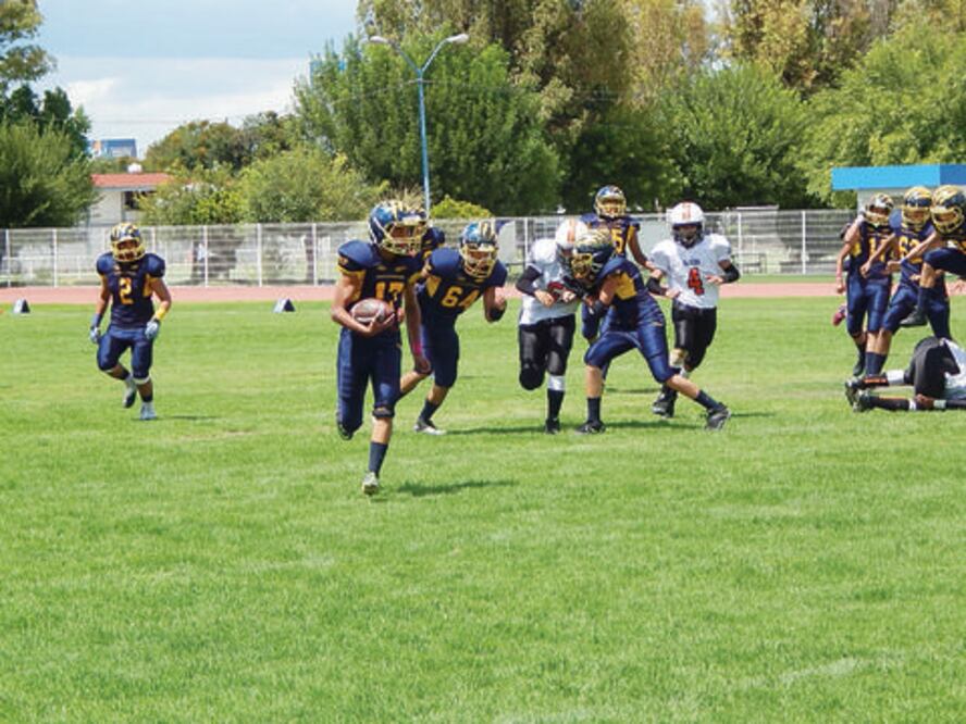  Gatos y Cachorros  van por  gloria a FADEMAC