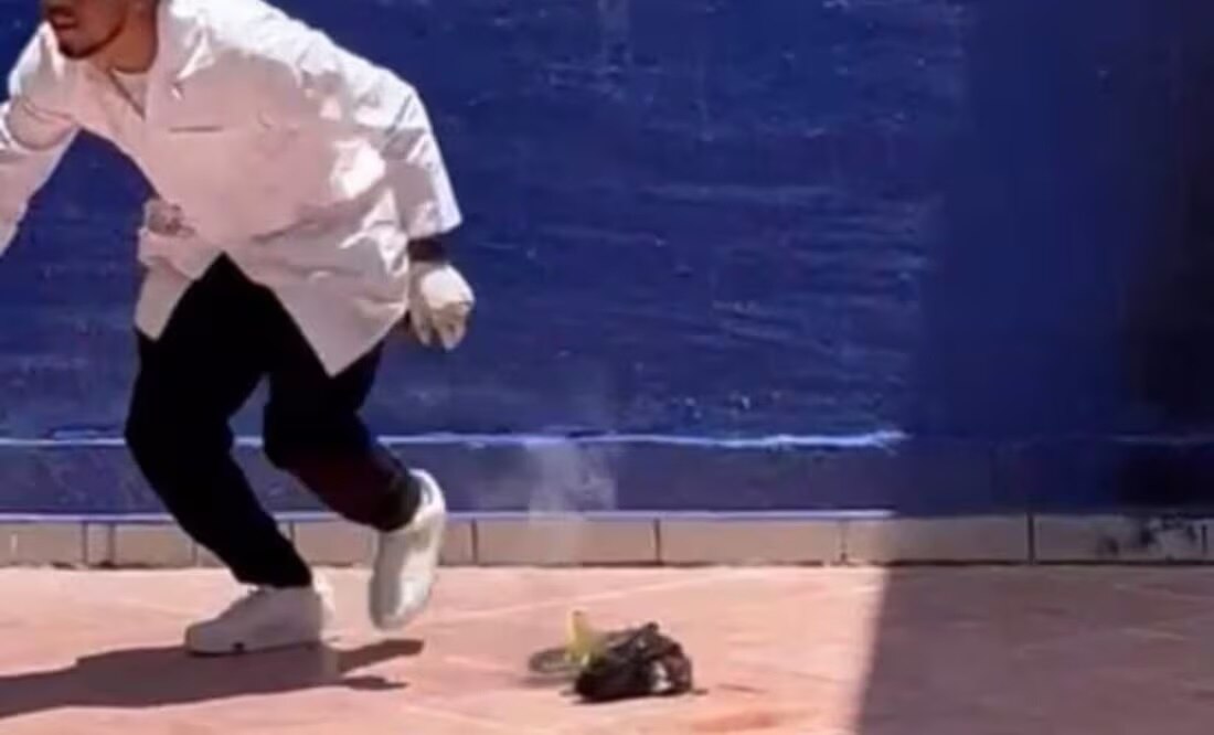 Brutal caso de maltrato animal en Guanajuato; investigan a estudiantes que explotaron a un gato con pirotecnia