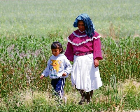 Piden equidad en apoyos al campo