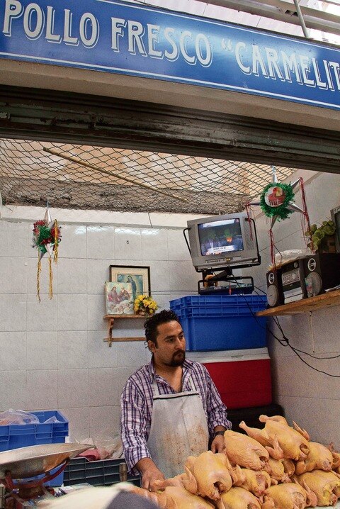 Bloquean llegada de alimento para aves