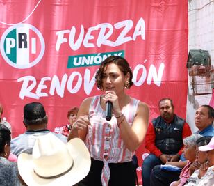 Urge una estrategia de seguridad eficiente y con visión de futuro: Abigaíl Arredondo