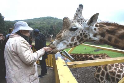 Bioparque Estrella. Vivir la aventura de un safari