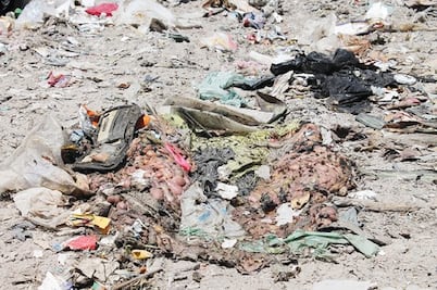 Aceptan mal manejo de animales muertos