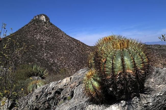 Visita los Pueblos Mágicos de Querétaro sin salir de casa