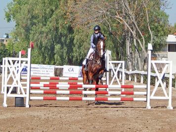 Copa Querétaro va por séptima fecha