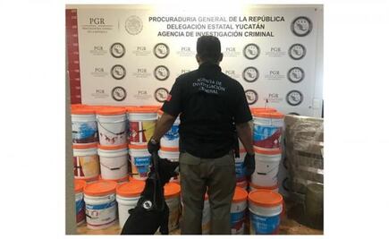 Aseguran 500 kilos de marihuana en empresa de paquetería en Mérida