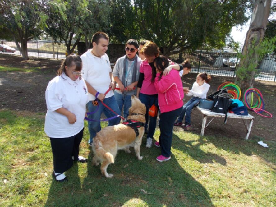 Concesiones deben ser incluyentes: DDH