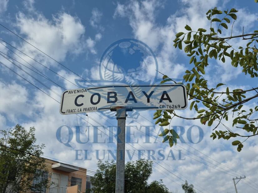 FOTO. ÁNGEL GONZÁLEZ