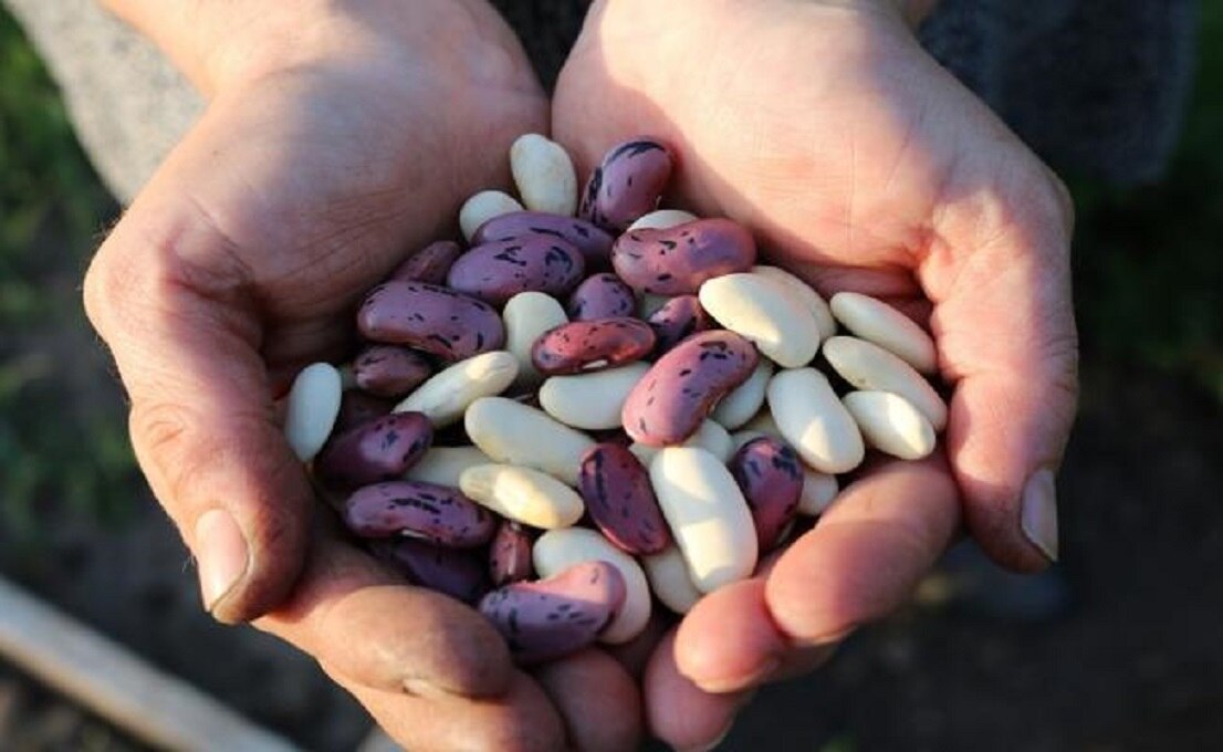 ¿Qué alimentos no debes cenar?