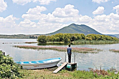 Presas y bordos, al 60% de su capacidad