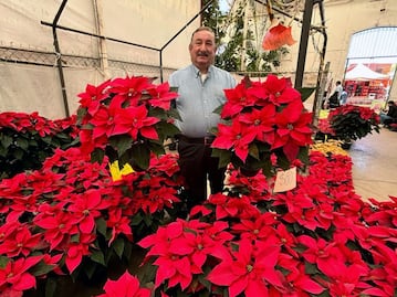 La Navidad “colorea” el Mercado de las Flores