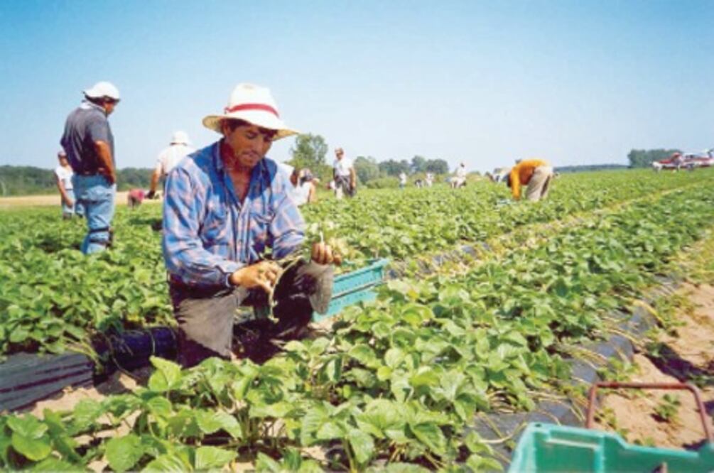 CNC exige mayor apoyo