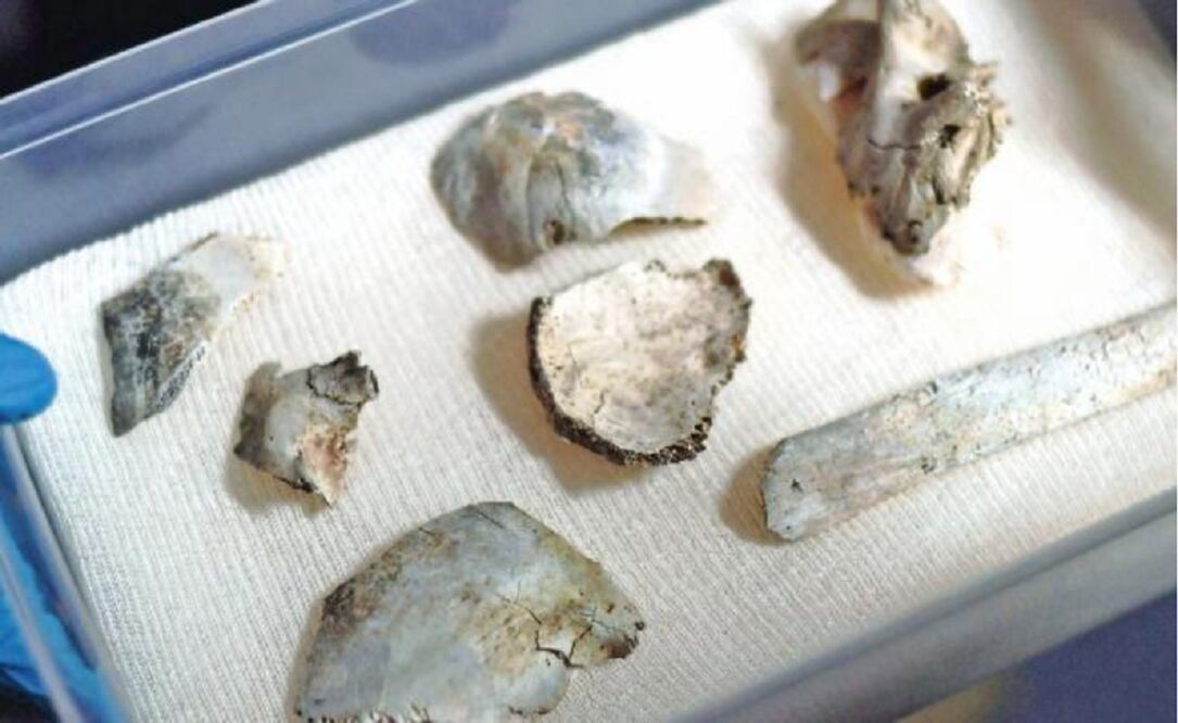 Además del cráneo de Luzia, también se encontró un pedazo de fémur. CARL DE SOUZA. AFP