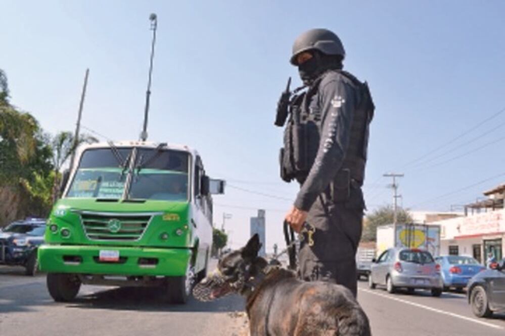 Aplauden estrategia de seguridad