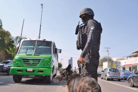 Aplauden estrategia de seguridad