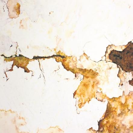 El artista Gustavo Villegas expone la “impermanencia” en Querétaro 