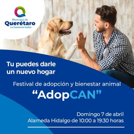 Anuncian primer festival queretano de adopción de mascotas “AdopCAN” 