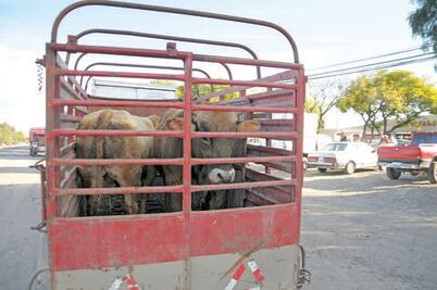 Buscan endurecer sanciones