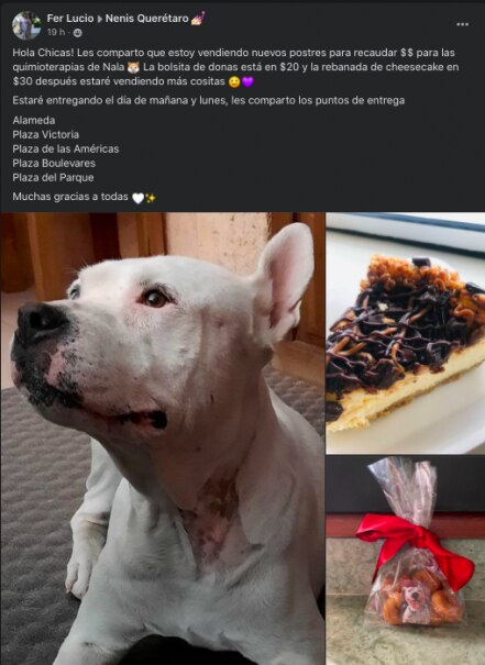Nala vende postres para pagar sus quimioterapias 