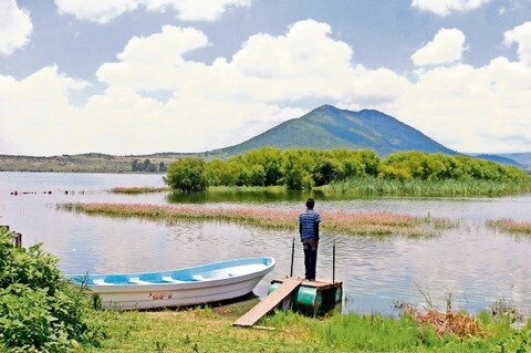 Cultivo, sin daños pese a lluvias