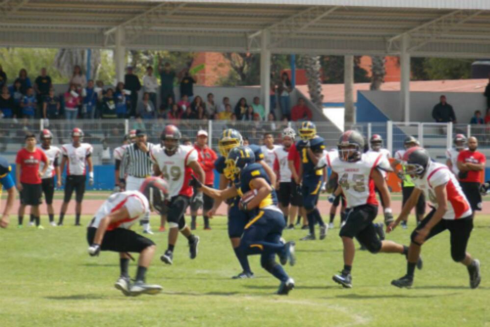 Gatos Salvajes siguen invictos