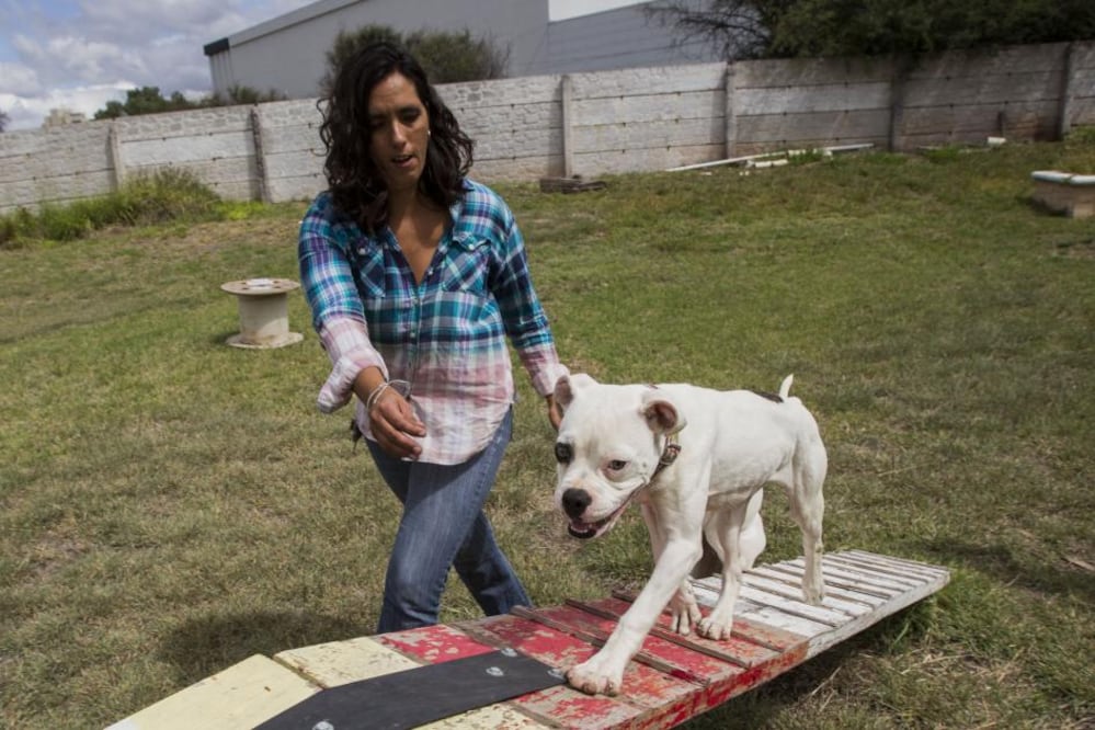 Foto: Demian Chávez