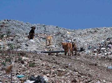 Detectaron en SJR 3 sitios clandestinos donde tiran basura