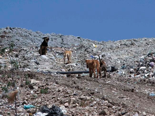 Detectaron en SJR 3 sitios clandestinos donde tiran basura