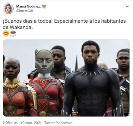 ¿De Wakanda o alienígena?: Critican la escultura "Tlali" con memes